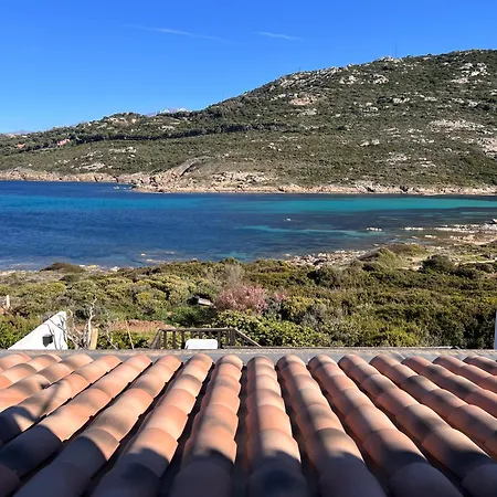Reve * Calvi (Corsica)