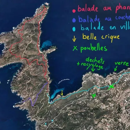 Reve *